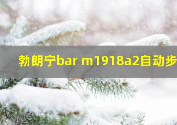 勃朗宁bar m1918a2自动步枪